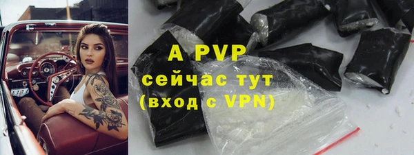 прущие грибы Беломорск