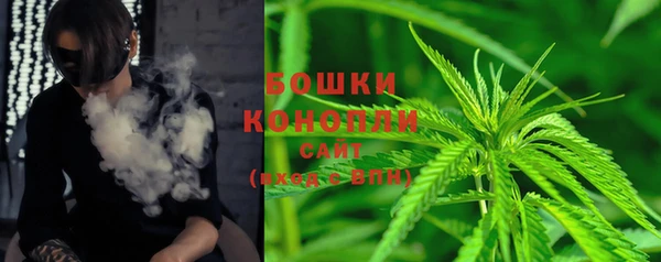 трава Белокуриха