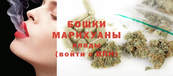 прущие грибы Беломорск