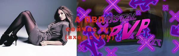 трава Белокуриха