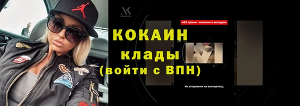 прущие грибы Беломорск