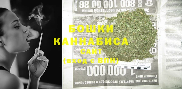 трава Белокуриха