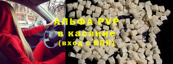 прущие грибы Беломорск