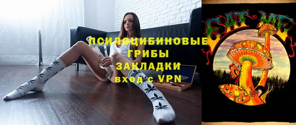 трава Белокуриха