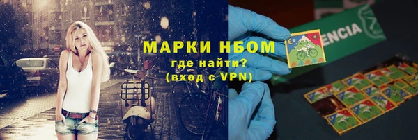 прущие грибы Беломорск