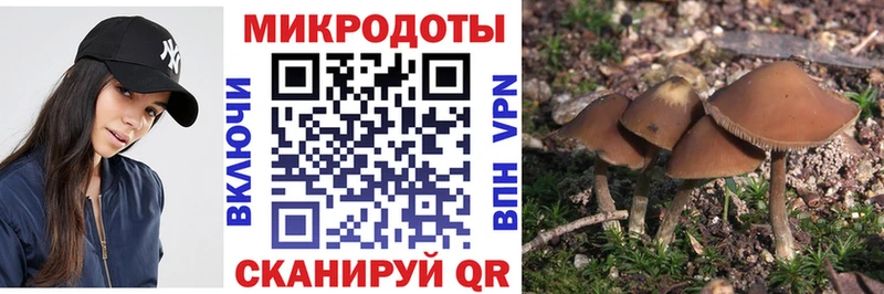 kraken ONION  Надым  Галлюциногенные грибы ЛСД 