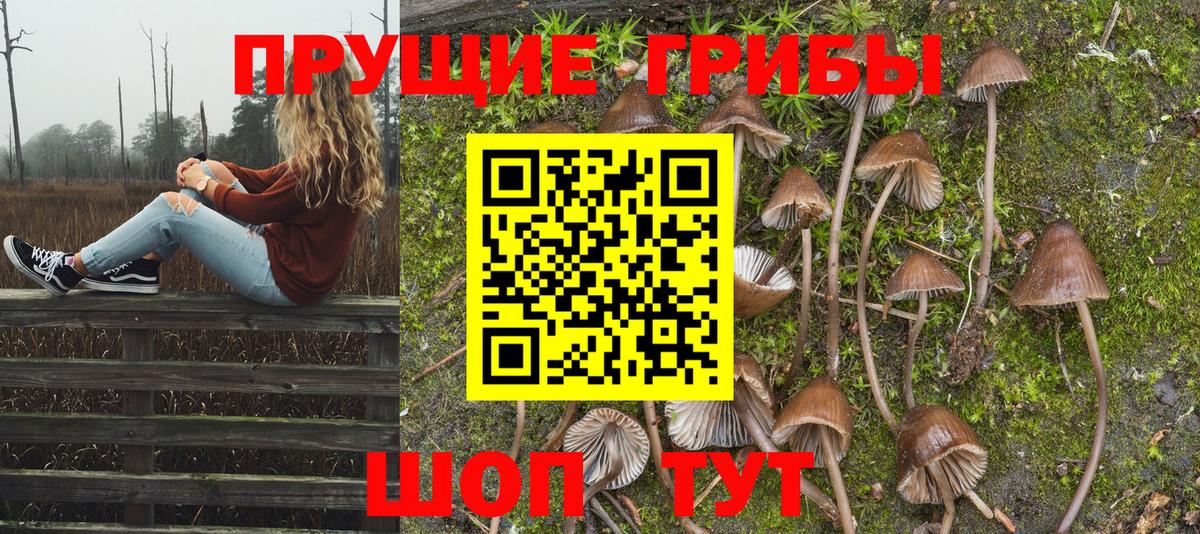 что такое   Галлюциногенные грибы MAGIC MUSHROOMS  Надым  Вход с VPN  Псилоцибиновые грибы Psilocybine cubensis 