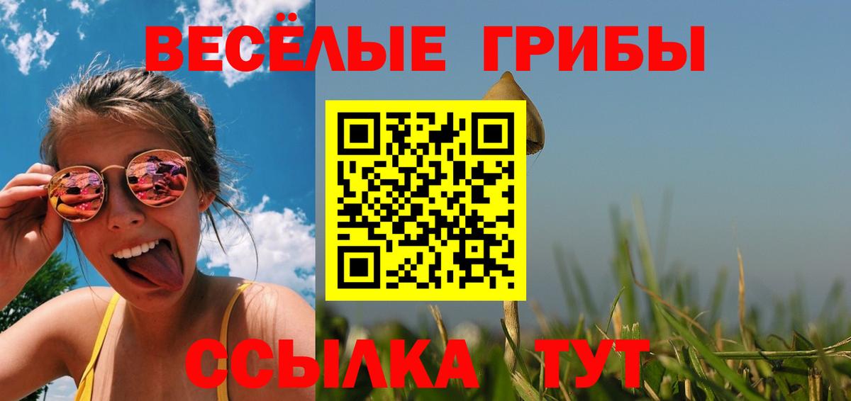 Галлюциногенные грибы ЛСД Надым