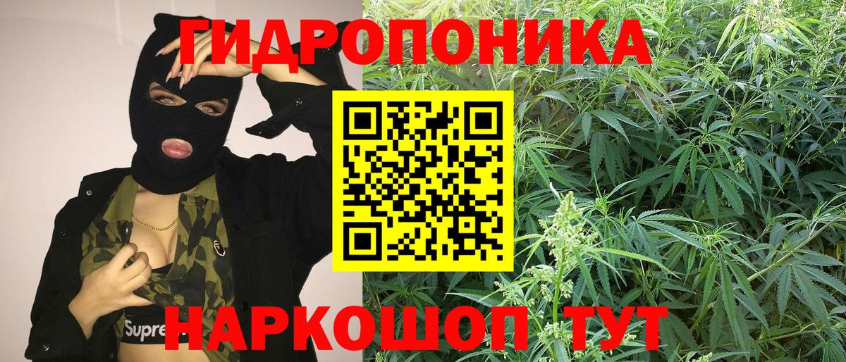 Конопля SATIVA & INDICA  Канабис SATIVA & INDICA  Надым  Вход с VPN  Марихуана Ganja 
